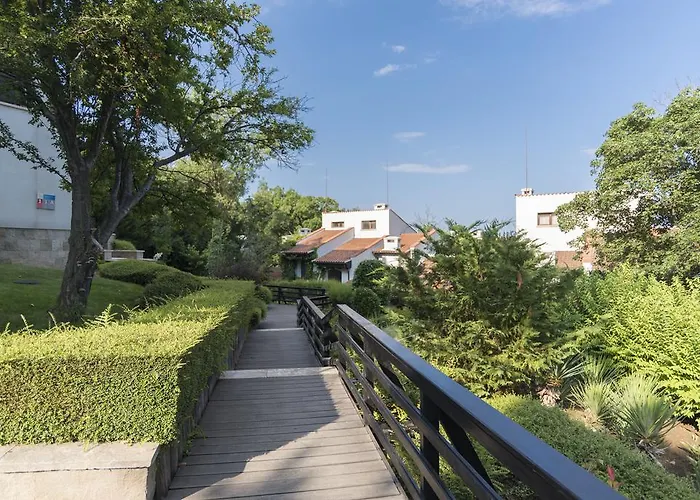 Oasis & Cozy Lozenets